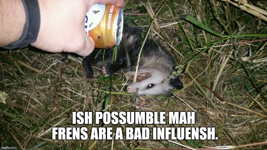 Possumble | ISH POSSUMBLE MAH FRENS ARE A BAD INFLUENSH. | image tagged in friends,drinking,animal | made w/ Imgflip meme maker