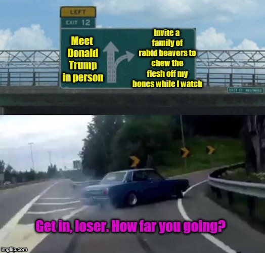 Left Exit 12 Off Ramp Meme | Invite a family of rabid beavers to chew the flesh off my bones while I watch; Meet Donald Trump in person; Get in, loser. How far you going? | image tagged in memes,left exit 12 off ramp | made w/ Imgflip meme maker