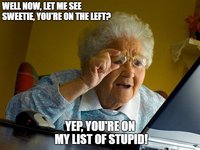 Grandma Finds The Internet | WELL NOW, LET ME SEE SWEETIE, YOU'RE ON THE LEFT? YEP, YOU'RE ON MY LIST OF STUPID! | image tagged in memes,grandma finds the internet | made w/ Imgflip meme maker