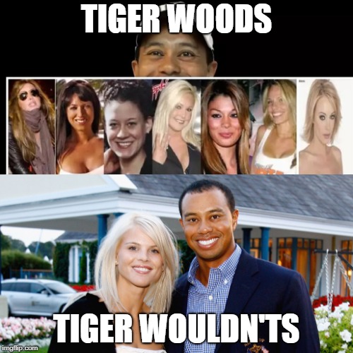 TIGER WOODS; TIGER WOULDN'TS | image tagged in golf | made w/ Imgflip meme maker