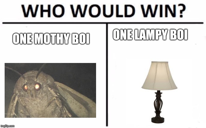 Who Would Win? Meme | ONE LAMPY BOI; ONE MOTHY BOI | image tagged in memes,who would win | made w/ Imgflip meme maker