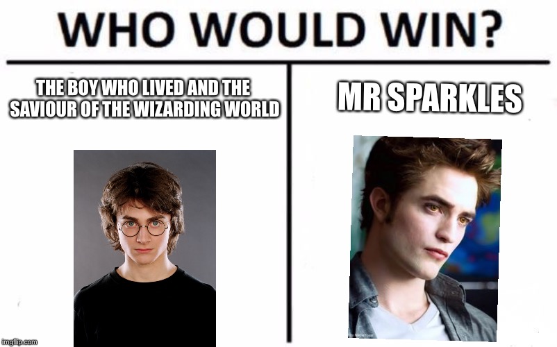 Who Would Win? | MR SPARKLES; THE BOY WHO LIVED AND THE SAVIOUR OF THE WIZARDING WORLD | image tagged in memes,who would win | made w/ Imgflip meme maker