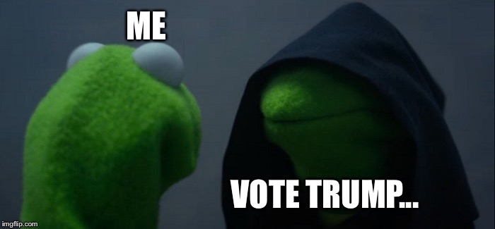 Evil Kermit | ME; VOTE TRUMP... | image tagged in memes,evil kermit | made w/ Imgflip meme maker