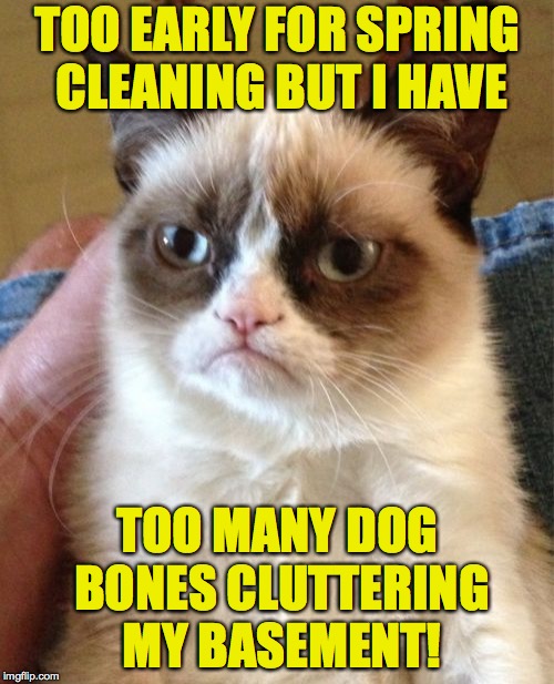 I'm loveable but I have a dark side too. | TOO EARLY FOR SPRING CLEANING BUT I HAVE; TOO MANY DOG BONES CLUTTERING MY BASEMENT! | image tagged in memes,grumpy cat,spring cleaning | made w/ Imgflip meme maker