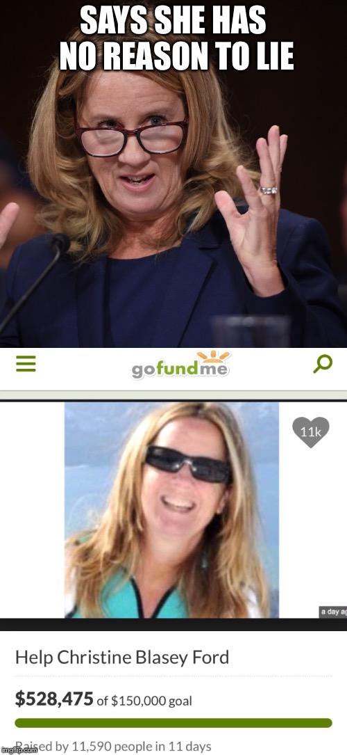 Just doing my civic duty | SAYS SHE HAS NO REASON TO LIE | image tagged in kavanaugh,christine blasey ford | made w/ Imgflip meme maker