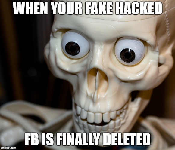 hackedfbfixed | WHEN YOUR FAKE HACKED; FB IS FINALLY DELETED | image tagged in that face you make when | made w/ Imgflip meme maker