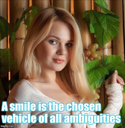 A smile is the chosen vehicle of all ambiguities | made w/ Imgflip meme maker