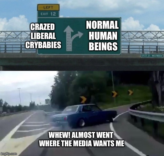 Left Exit 12 Off Ramp Meme | CRAZED LIBERAL CRYBABIES NORMAL HUMAN BEINGS WHEW! ALMOST WENT WHERE THE MEDIA WANTS ME | image tagged in memes,left exit 12 off ramp | made w/ Imgflip meme maker
