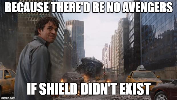 Hulk | BECAUSE THERE'D BE NO AVENGERS IF SHIELD DIDN'T EXIST | image tagged in hulk | made w/ Imgflip meme maker