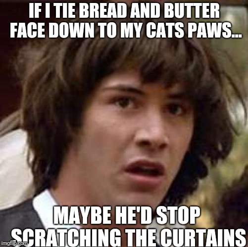 Infinite spinning cat trick | IF I TIE BREAD AND BUTTER FACE DOWN TO MY CATS PAWS... MAYBE HE'D STOP SCRATCHING THE CURTAINS | image tagged in memes,conspiracy keanu | made w/ Imgflip meme maker
