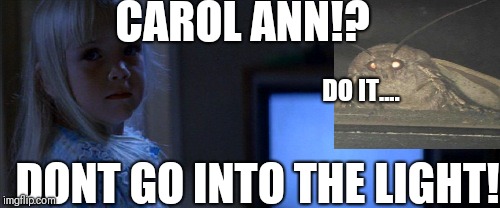 Carol Ann Poltergeist | CAROL ANN!? DO IT.... DONT GO INTO THE LIGHT! | image tagged in carol ann poltergeist | made w/ Imgflip meme maker