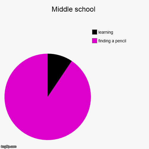 Middle school | finding a pencil, learning | image tagged in funny,pie charts | made w/ Imgflip chart maker