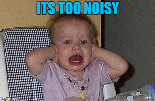 Too much Noise | ITS TOO NOISY | image tagged in too much noise | made w/ Imgflip meme maker