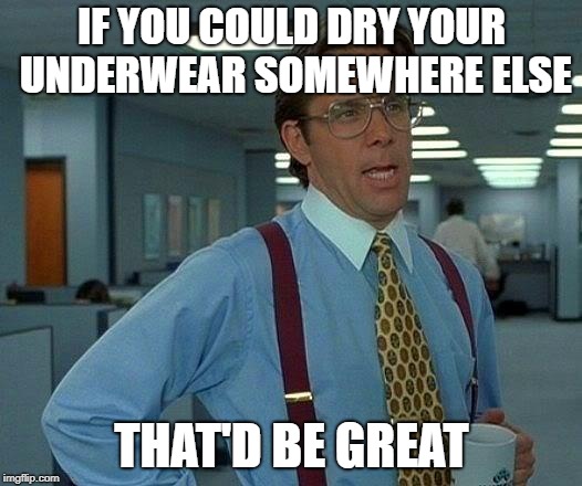 That Would Be Great Meme | IF YOU COULD DRY YOUR UNDERWEAR SOMEWHERE ELSE THAT'D BE GREAT | image tagged in memes,that would be great | made w/ Imgflip meme maker