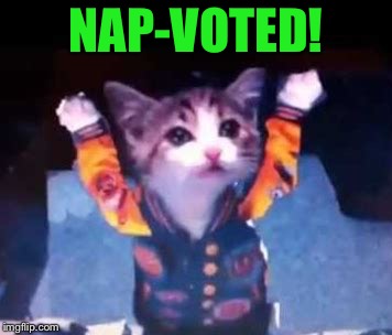 NAP-VOTED! | made w/ Imgflip meme maker