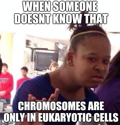 Black Girl Wat Meme | WHEN SOMEONE DOESNT KNOW THAT; CHROMOSOMES ARE ONLY IN EUKARYOTIC CELLS | image tagged in memes,black girl wat | made w/ Imgflip meme maker