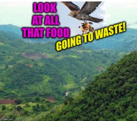 Said the squirrel looking down on the forest... | image tagged in nature,funny memes,squirrel,ice age,it's a jungle out there | made w/ Imgflip meme maker