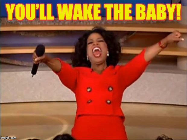 Oprah You Get A Meme | YOU’LL WAKE THE BABY! | image tagged in memes,oprah you get a | made w/ Imgflip meme maker