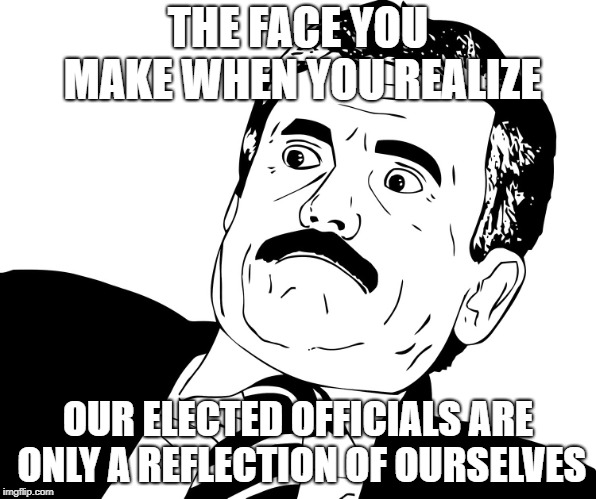 The Face You Make ... | THE FACE YOU MAKE WHEN YOU REALIZE; OUR ELECTED OFFICIALS ARE ONLY A REFLECTION OF OURSELVES | image tagged in the face you make | made w/ Imgflip meme maker