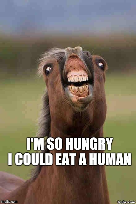horse face | I'M SO HUNGRY I COULD EAT A HUMAN | image tagged in horse face | made w/ Imgflip meme maker