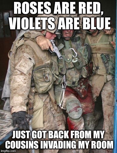 Always keep the door locked at all times when people you hate are at your house | ROSES ARE RED, VIOLETS ARE BLUE; JUST GOT BACK FROM MY COUSINS INVADING MY ROOM | image tagged in memes,wounded soldier,nope | made w/ Imgflip meme maker