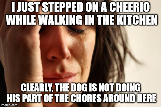 First World Problems | I JUST STEPPED ON A CHEERIO WHILE WALKING IN THE KITCHEN; CLEARLY, THE DOG IS NOT DOING HIS PART OF THE CHORES AROUND HERE | image tagged in memes,first world problems | made w/ Imgflip meme maker