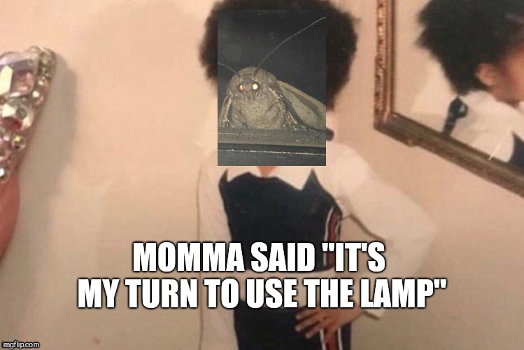 Young Cardi B | MOMMA SAID "IT'S MY TURN TO USE THE LAMP" | image tagged in memes,young cardi b | made w/ Imgflip meme maker