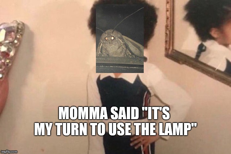 Young Cardi B Meme | MOMMA SAID "IT'S MY TURN TO USE THE LAMP" | image tagged in memes,young cardi b | made w/ Imgflip meme maker