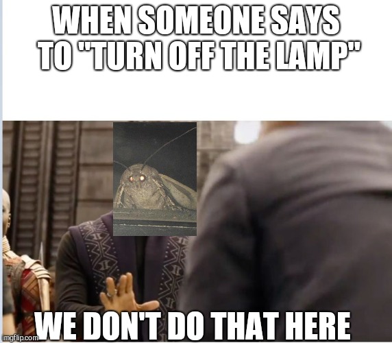 Black panther | WHEN SOMEONE SAYS TO "TURN OFF THE LAMP"; WE DON'T DO THAT HERE | image tagged in black panther | made w/ Imgflip meme maker