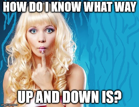 ditzy blonde | HOW DO I KNOW WHAT WAY UP AND DOWN IS? | image tagged in ditzy blonde | made w/ Imgflip meme maker