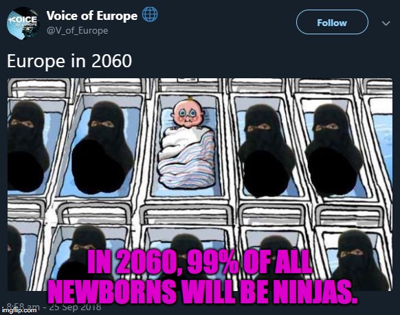 Ninja babies | IN 2060, 99% OF ALL NEWBORNS WILL BE NINJAS. | image tagged in nazi,white nationalism,alt right,islamophobia | made w/ Imgflip meme maker