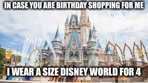 Disney for birthday | IN CASE YOU ARE BIRTHDAY SHOPPING FOR ME; I WEAR A SIZE DISNEY WORLD FOR 4 | image tagged in disney,birthday,shopping | made w/ Imgflip meme maker