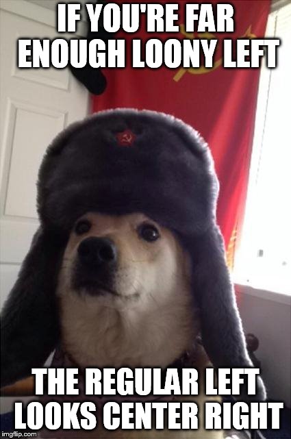 communist dog | IF YOU'RE FAR ENOUGH LOONY LEFT THE REGULAR LEFT LOOKS CENTER RIGHT | image tagged in communist dog | made w/ Imgflip meme maker