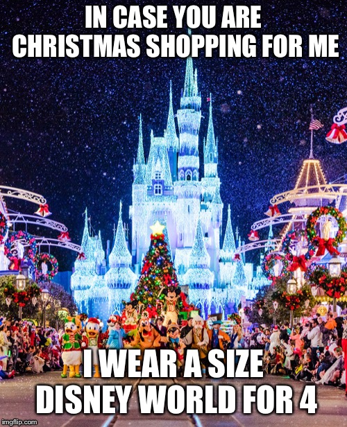 Disney for Christmas  | IN CASE YOU ARE CHRISTMAS SHOPPING FOR ME; I WEAR A SIZE DISNEY WORLD FOR 4 | image tagged in christmas,shopping,disney | made w/ Imgflip meme maker
