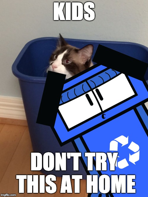 Recyc on cute cat pictures | KIDS; DON'T TRY THIS AT HOME | image tagged in recycle,recycling,original character,cats,kitten,cat recycle | made w/ Imgflip meme maker