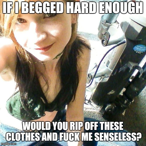 IF I BEGGED HARD ENOUGH; WOULD YOU RIP OFF THESE CLOTHES AND FUCK ME SENSELESS? | image tagged in felisha fuck pig | made w/ Imgflip meme maker