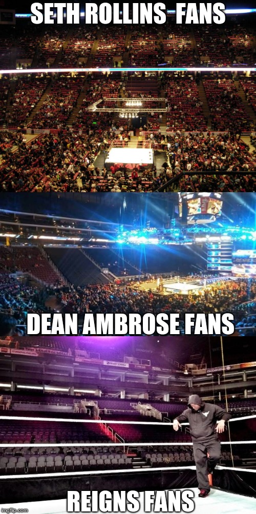 SETH ROLLINS  FANS; DEAN AMBROSE FANS; REIGNS FANS | image tagged in wwe raw,o rly,wwe | made w/ Imgflip meme maker
