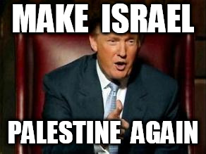 Donald Trump | MAKE  ISRAEL PALESTINE  AGAIN | image tagged in donald trump | made w/ Imgflip meme maker