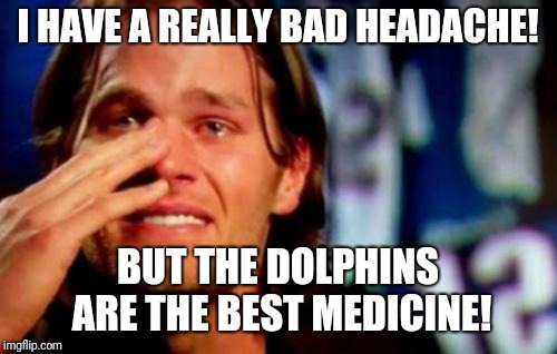 crying tom brady | I HAVE A REALLY BAD HEADACHE! BUT THE DOLPHINS ARE THE BEST MEDICINE! | image tagged in crying tom brady | made w/ Imgflip meme maker