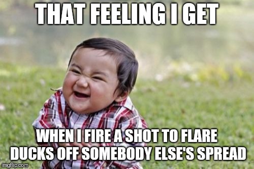 Evil Toddler Meme |  THAT FEELING I GET; WHEN I FIRE A SHOT TO FLARE DUCKS OFF SOMEBODY ELSE'S SPREAD | image tagged in memes,evil toddler | made w/ Imgflip meme maker
