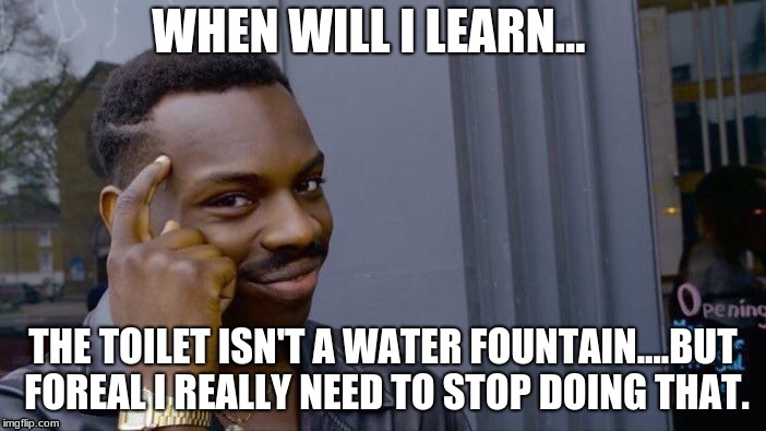 Roll Safe Think About It | WHEN WILL I LEARN... THE TOILET ISN'T A WATER FOUNTAIN....BUT FOREAL I REALLY NEED TO STOP DOING THAT. | image tagged in memes,roll safe think about it | made w/ Imgflip meme maker