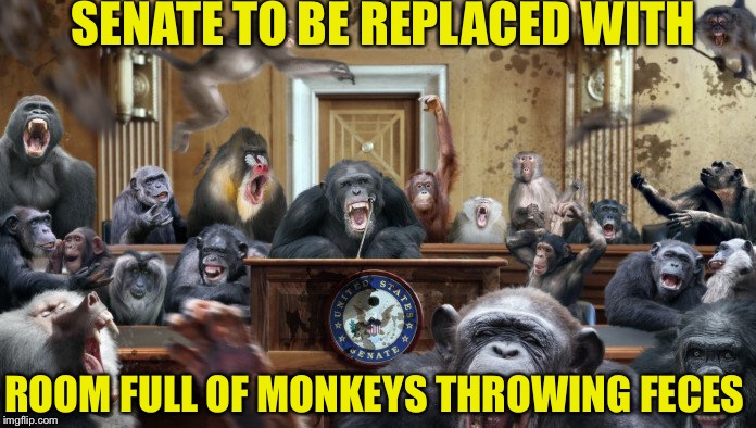 Room Full Of Monkeys, LOL Clyde in the background | SENATE TO BE REPLACED WITH; ROOM FULL OF MONKEYS THROWING FECES | image tagged in room full of monkeys,memes,monkeys,senate | made w/ Imgflip meme maker
