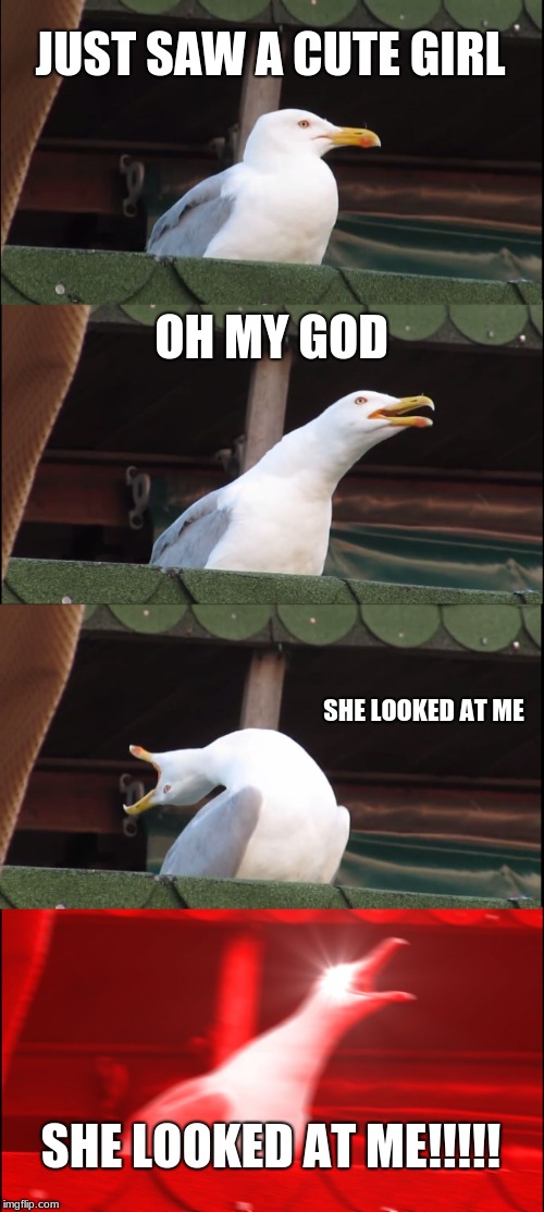 Inhaling Seagull Meme | JUST SAW A CUTE GIRL; OH MY GOD; SHE LOOKED AT ME; SHE LOOKED AT ME!!!!! | image tagged in memes,inhaling seagull | made w/ Imgflip meme maker