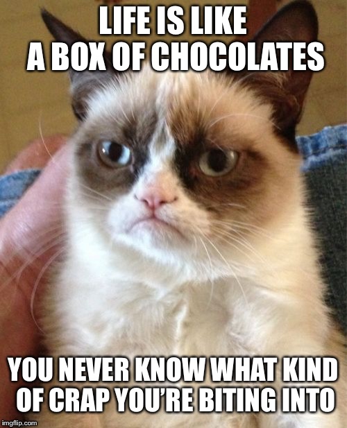 Grumpy cat speaks the truth... | LIFE IS LIKE A BOX OF CHOCOLATES; YOU NEVER KNOW WHAT KIND OF CRAP YOU’RE BITING INTO | image tagged in memes,grumpy cat | made w/ Imgflip meme maker