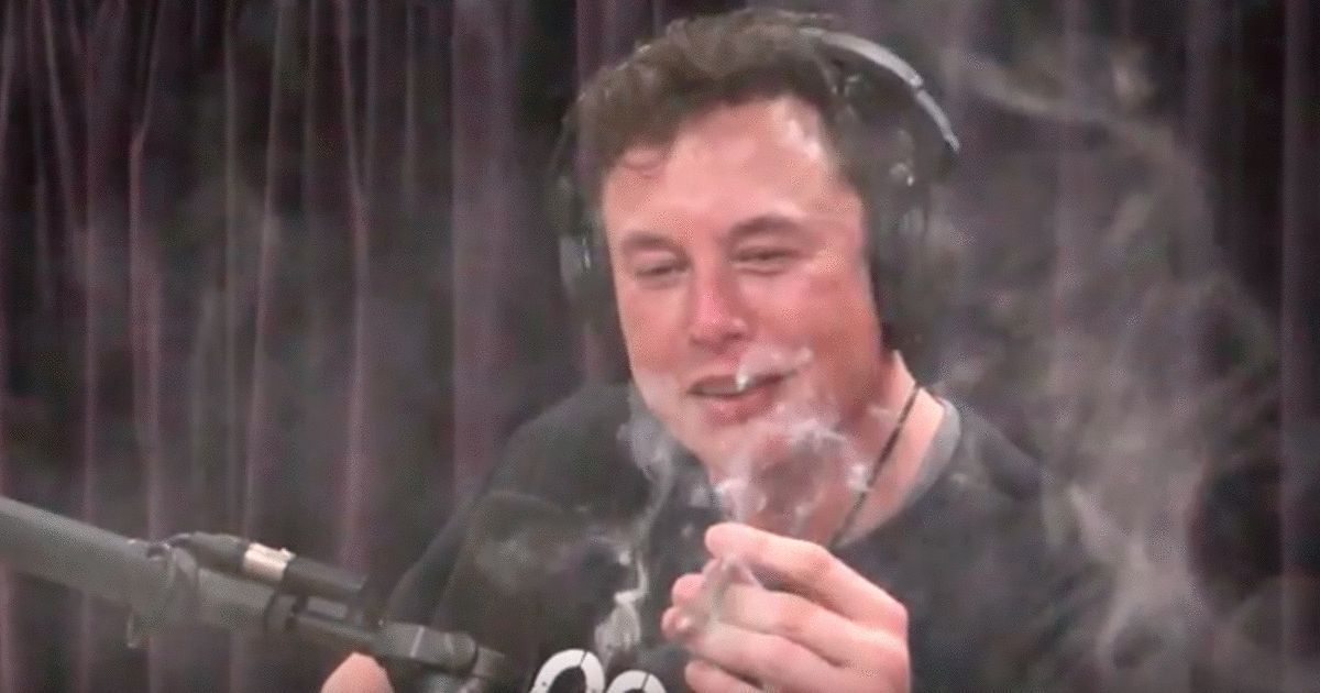 High Elon Musk Blank Meme Template