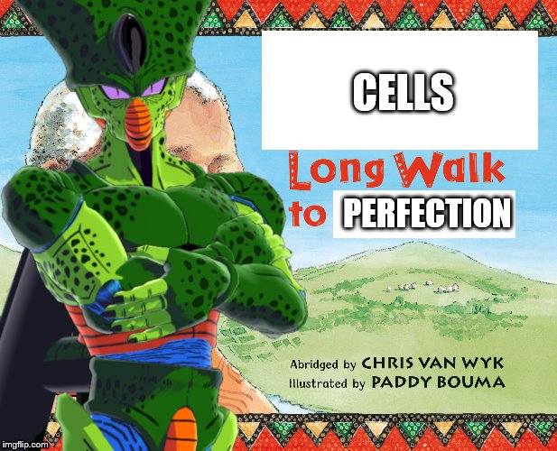 The Long Walk to Perfection | CELLS; PERFECTION | image tagged in neslon mandela,cell,dragon ball z | made w/ Imgflip meme maker
