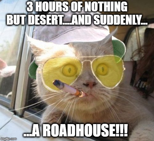 SANCTUARY!!! | 3 HOURS OF NOTHING BUT DESERT....AND SUDDENLY…; ...A ROADHOUSE!!! | image tagged in memes,fear and loathing cat,booze,cat,hunter s thompson | made w/ Imgflip meme maker