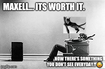 Maxell... It's worth it. | MAXELL... ITS WORTH IT. NOW THERE'S SOMETHING YOU DON'T SEE EVERYDAY... 😅 | image tagged in 1970's,commercials,cats,wind,mindblown | made w/ Imgflip meme maker