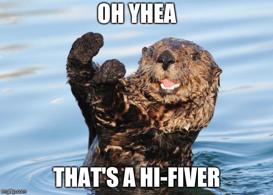 otter celebration | OH YHEA; THAT'S A HI-FIVER | image tagged in otter celebration | made w/ Imgflip meme maker