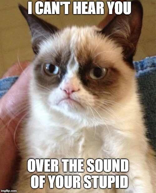 Grumpy Cat Meme | I CAN'T HEAR YOU; OVER THE SOUND OF YOUR STUPID | image tagged in memes,grumpy cat | made w/ Imgflip meme maker